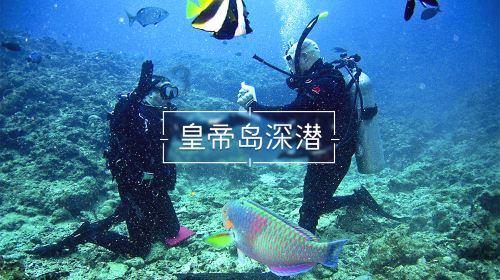 天呐！！她被软封杀了？？